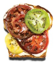 the tomato sandwich